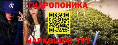 apvp Бузулук