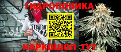 apvp Бузулук
