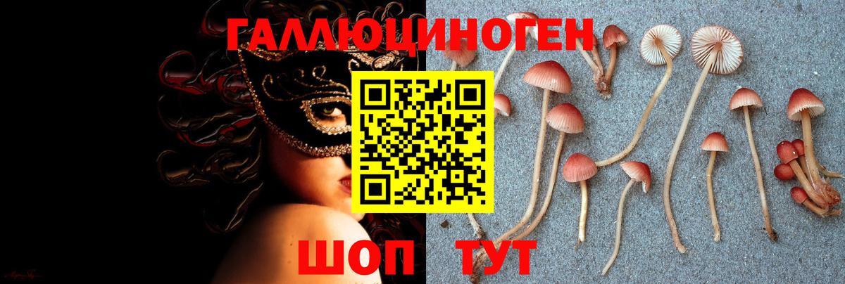Псилоцибиновые грибы мицелий Новошахтинск